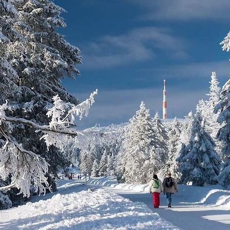 Ferienwohnung Arnika Inklusive Waeschepaket Braunlage Exteriér fotografie