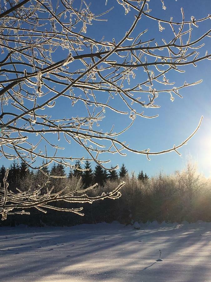 Ferienwohnung Arnika Inklusive Waeschepaket Braunlage Exteriér fotografie