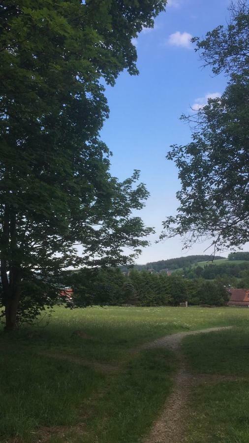 Ferienwohnung Arnika Inklusive Waeschepaket Braunlage Exteriér fotografie
