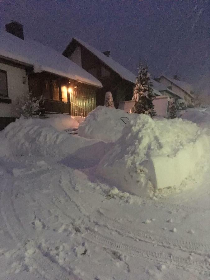 Ferienwohnung Arnika Inklusive Waeschepaket Braunlage Exteriér fotografie
