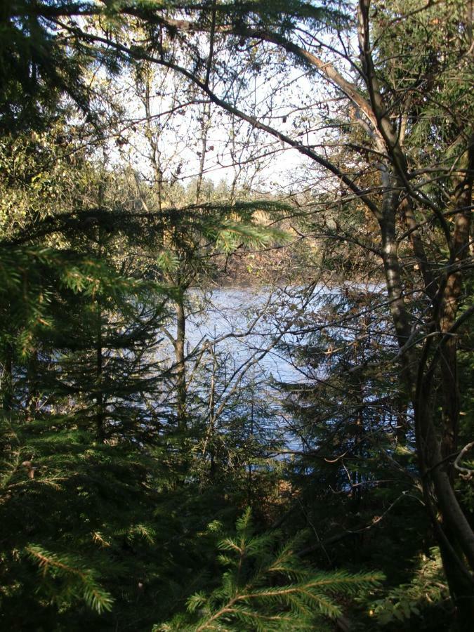 Ferienwohnung Arnika Inklusive Waeschepaket Braunlage Exteriér fotografie
