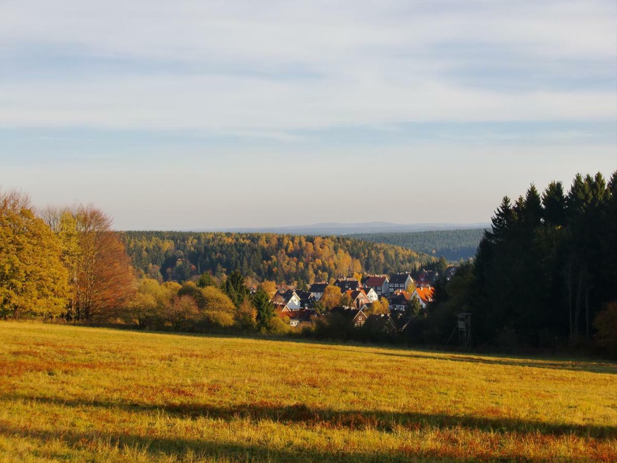 Ferienwohnung Arnika Inklusive Waeschepaket Braunlage Exteriér fotografie