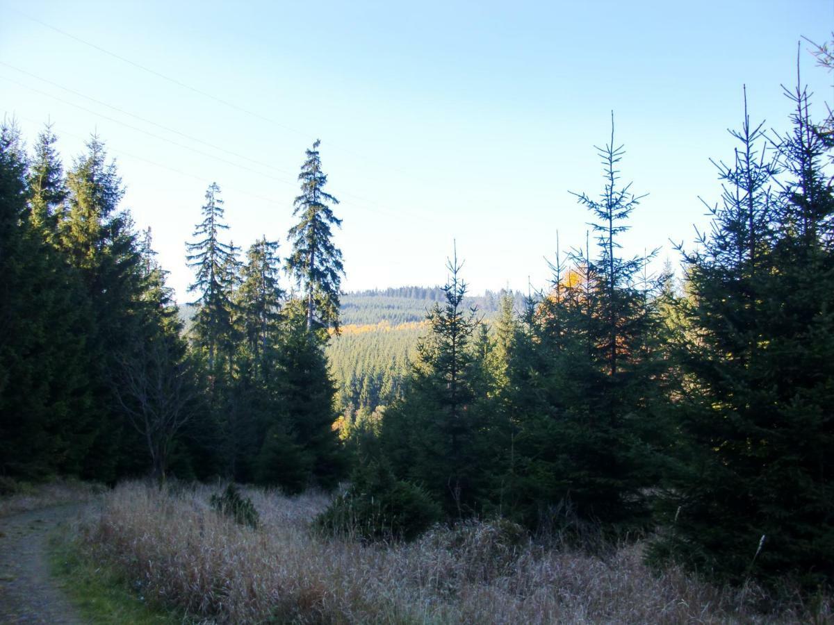 Ferienwohnung Arnika Inklusive Waeschepaket Braunlage Exteriér fotografie