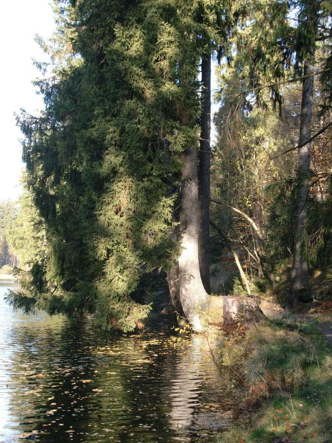 Ferienwohnung Arnika Inklusive Waeschepaket Braunlage Exteriér fotografie