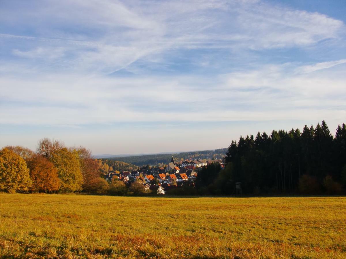 Ferienwohnung Arnika Inklusive Waeschepaket Braunlage Exteriér fotografie