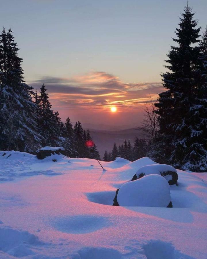 Ferienwohnung Arnika Inklusive Waeschepaket Braunlage Exteriér fotografie