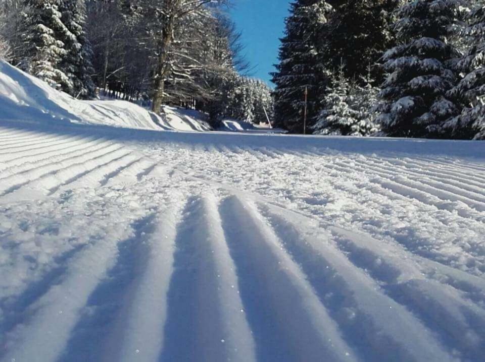 Ferienwohnung Arnika Inklusive Waeschepaket Braunlage Exteriér fotografie
