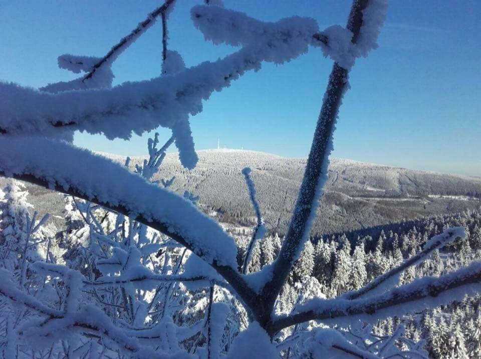 Ferienwohnung Arnika Inklusive Waeschepaket Braunlage Exteriér fotografie