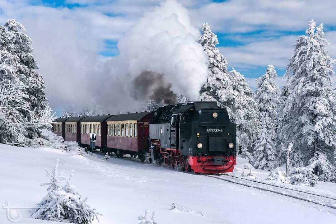 Ferienwohnung Arnika Inklusive Waeschepaket Braunlage Exteriér fotografie