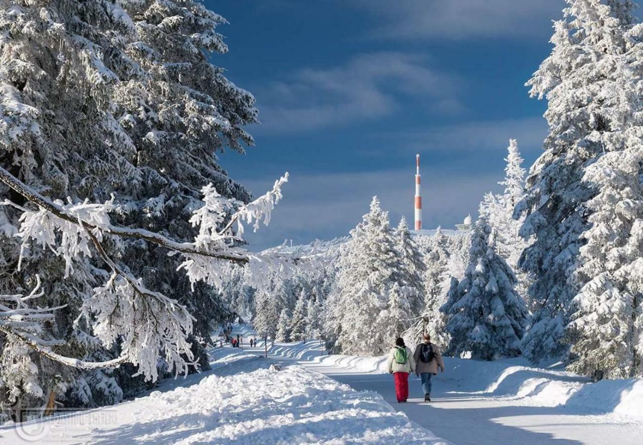 Ferienwohnung Arnika Inklusive Waeschepaket Braunlage Exteriér fotografie